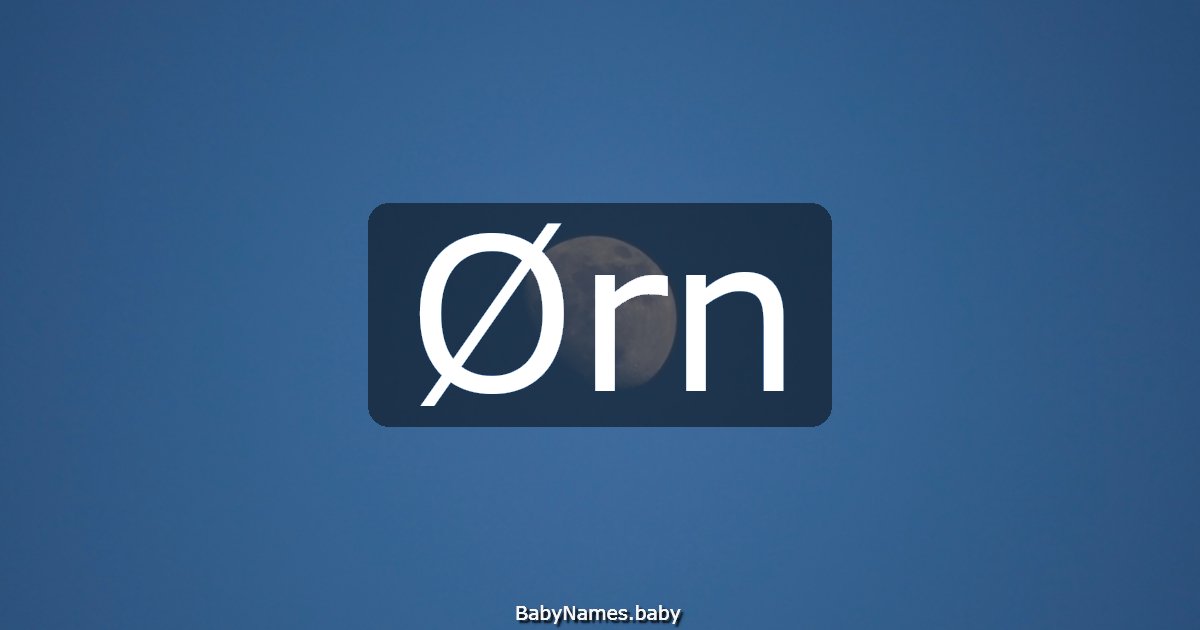 Ørn