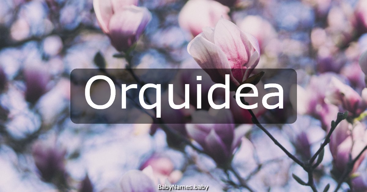 Orquidea