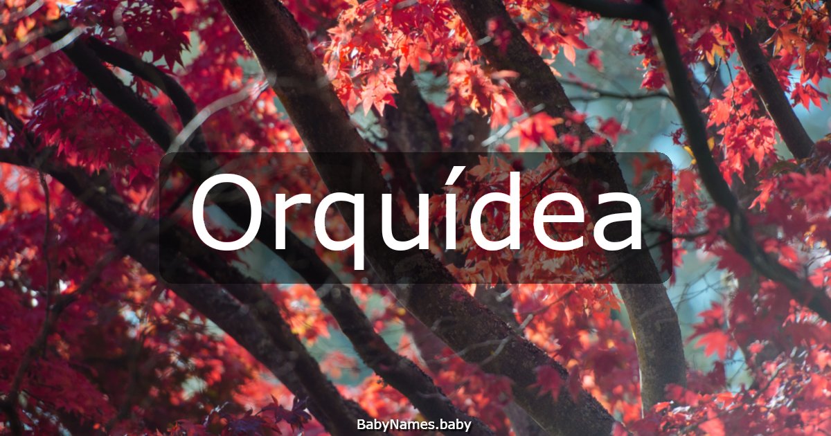 Orquídea