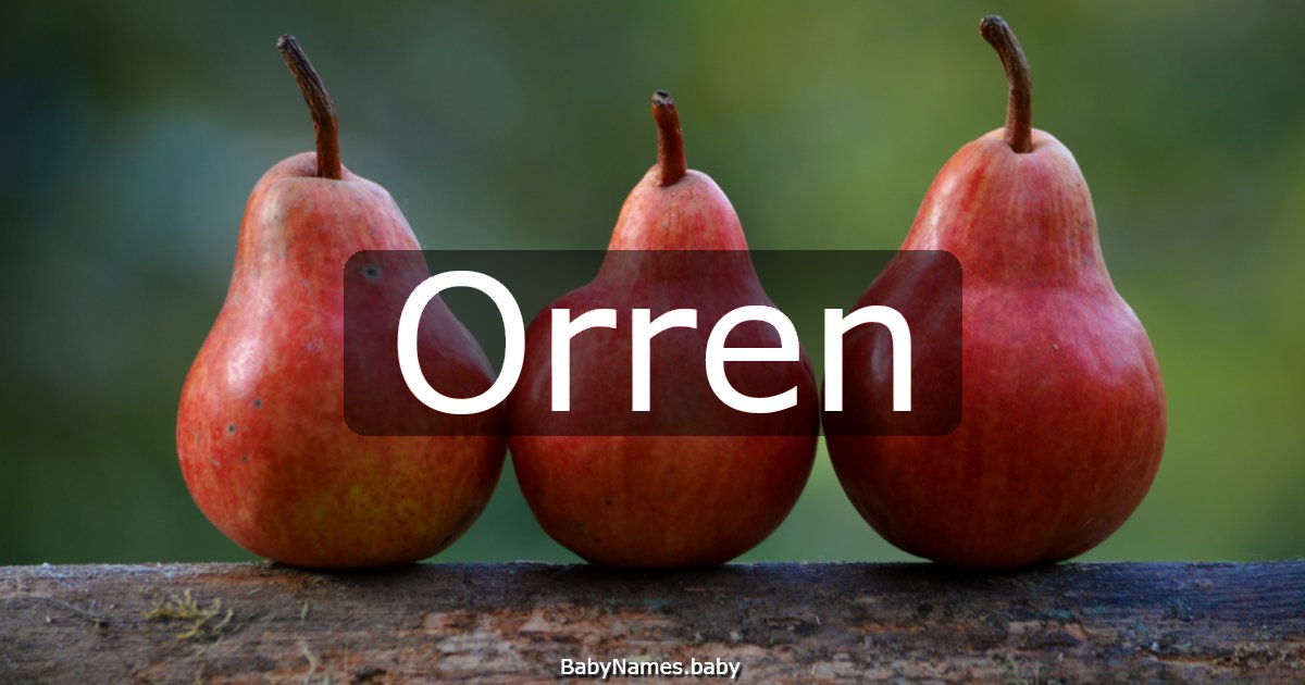 Orren