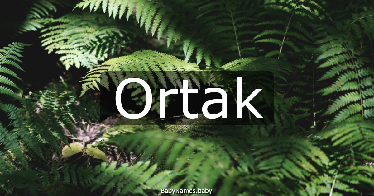 Ortak