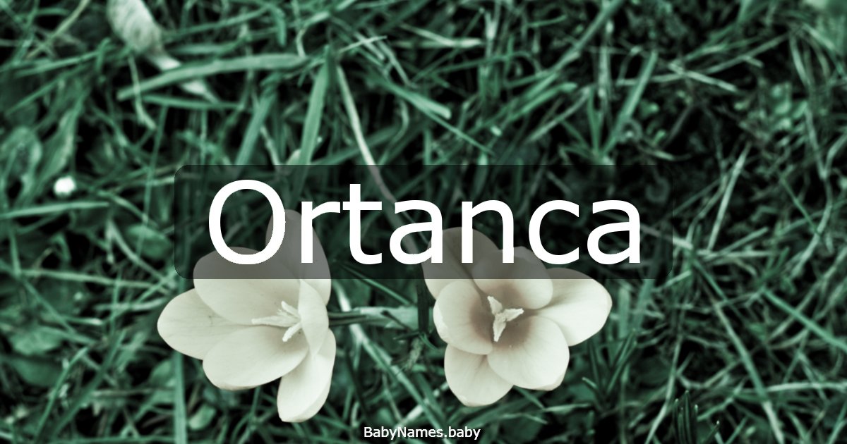 Ortanca