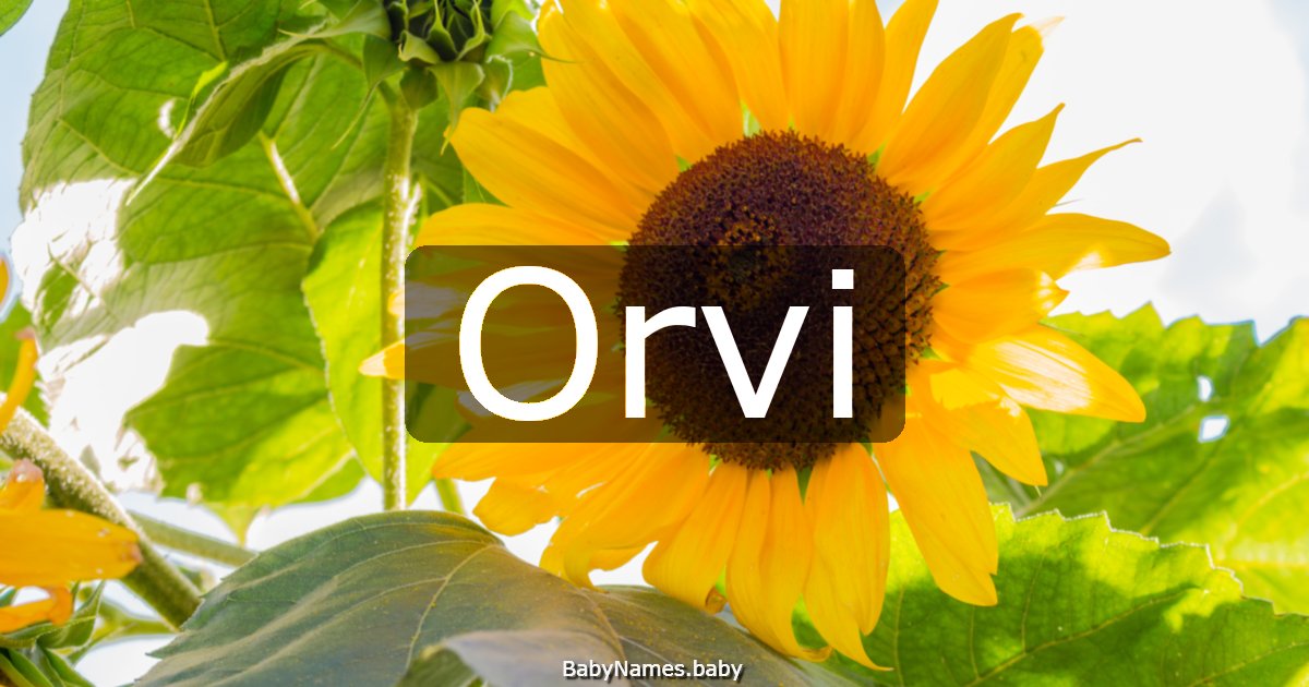 Orvi