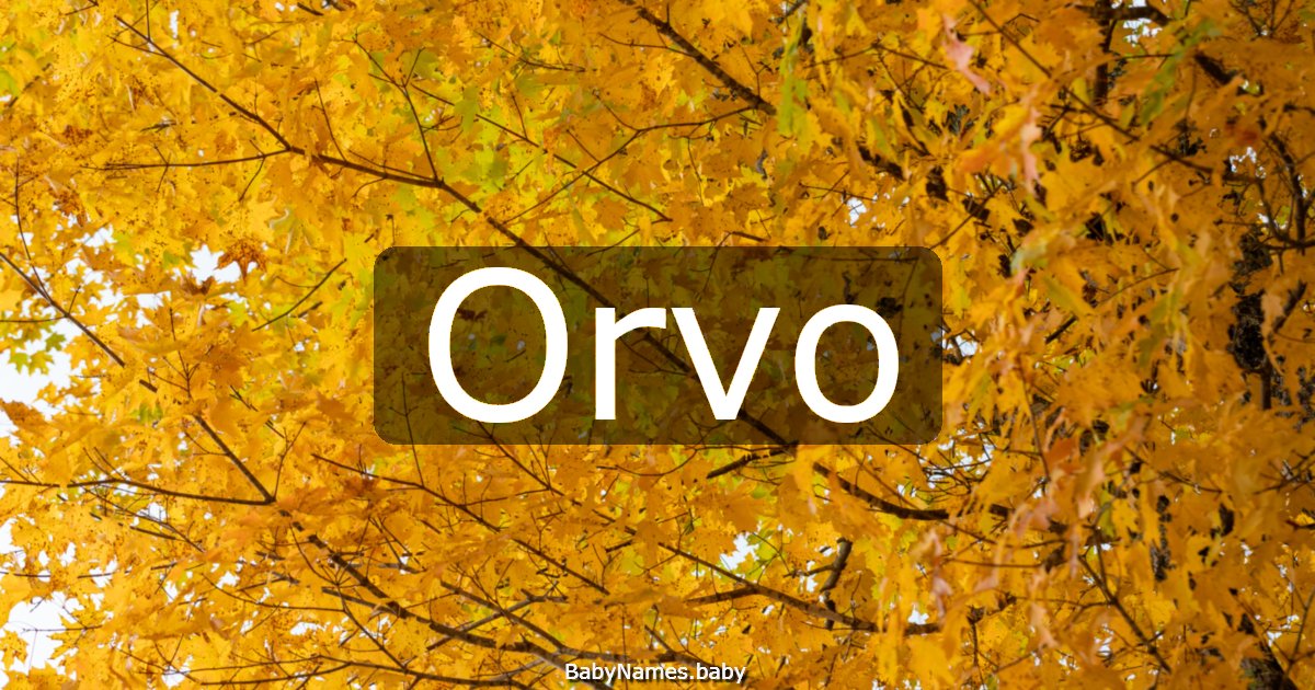 Orvo