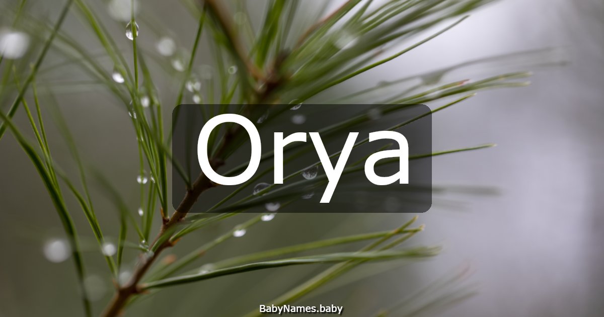 Orya