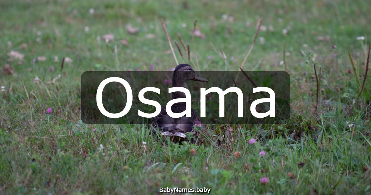 Osama