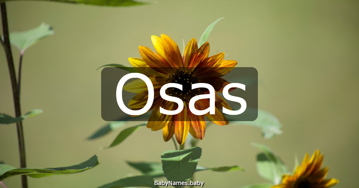 Osas