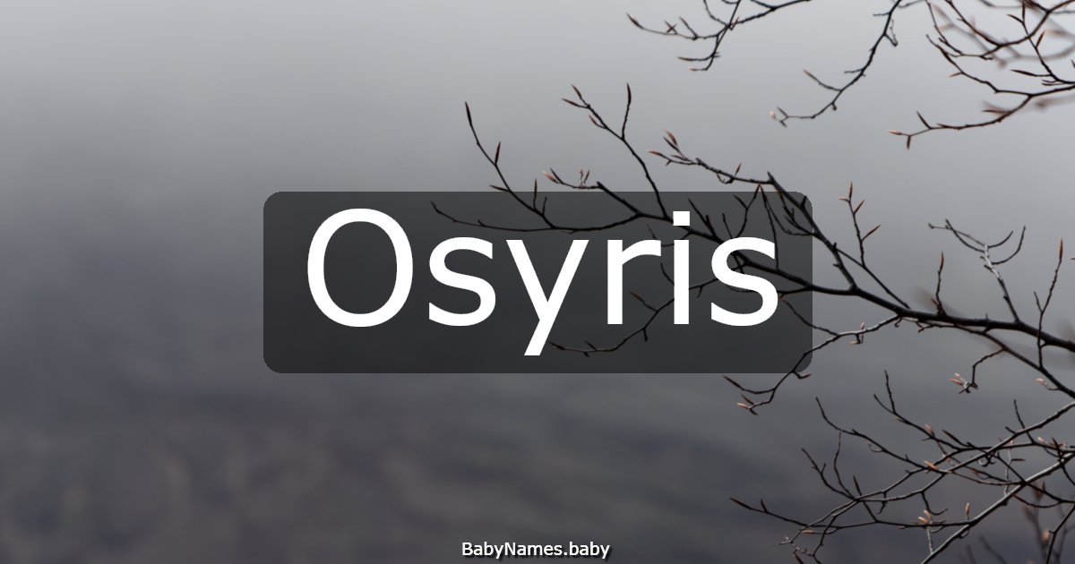 Osyris