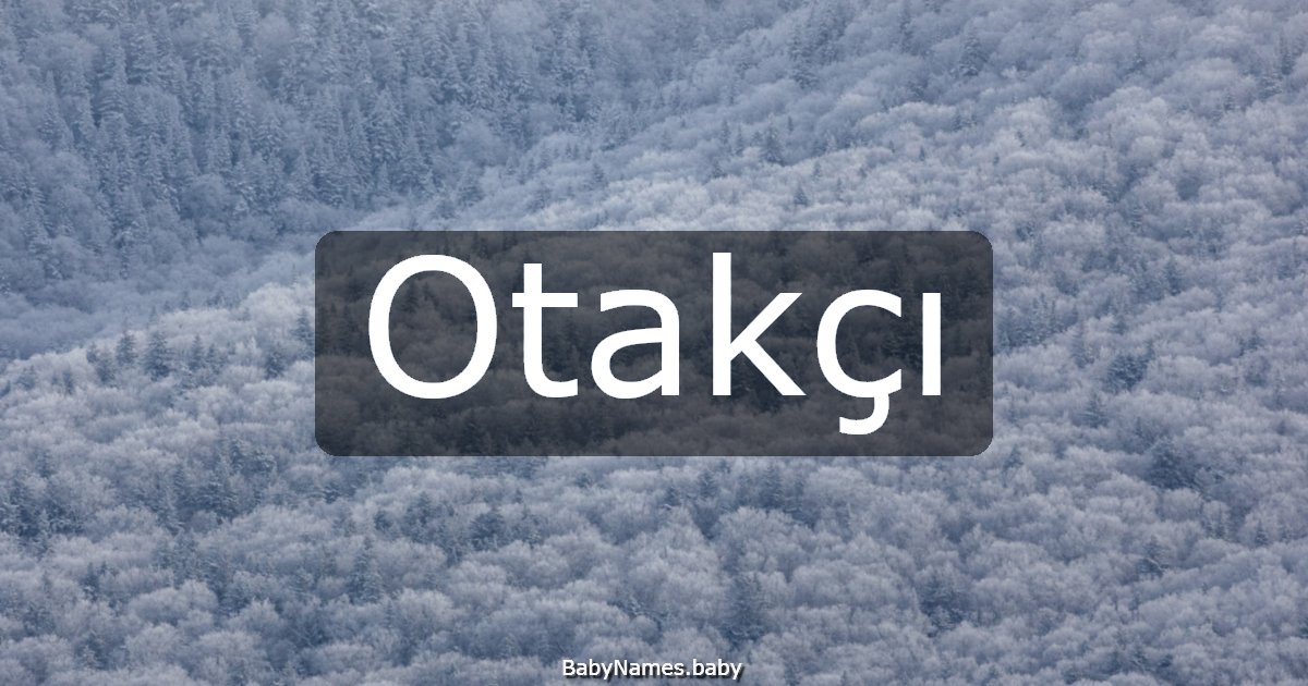 Otakçı