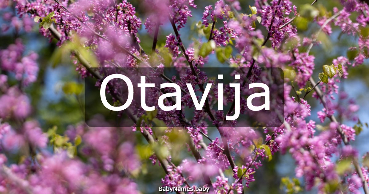 Otavija