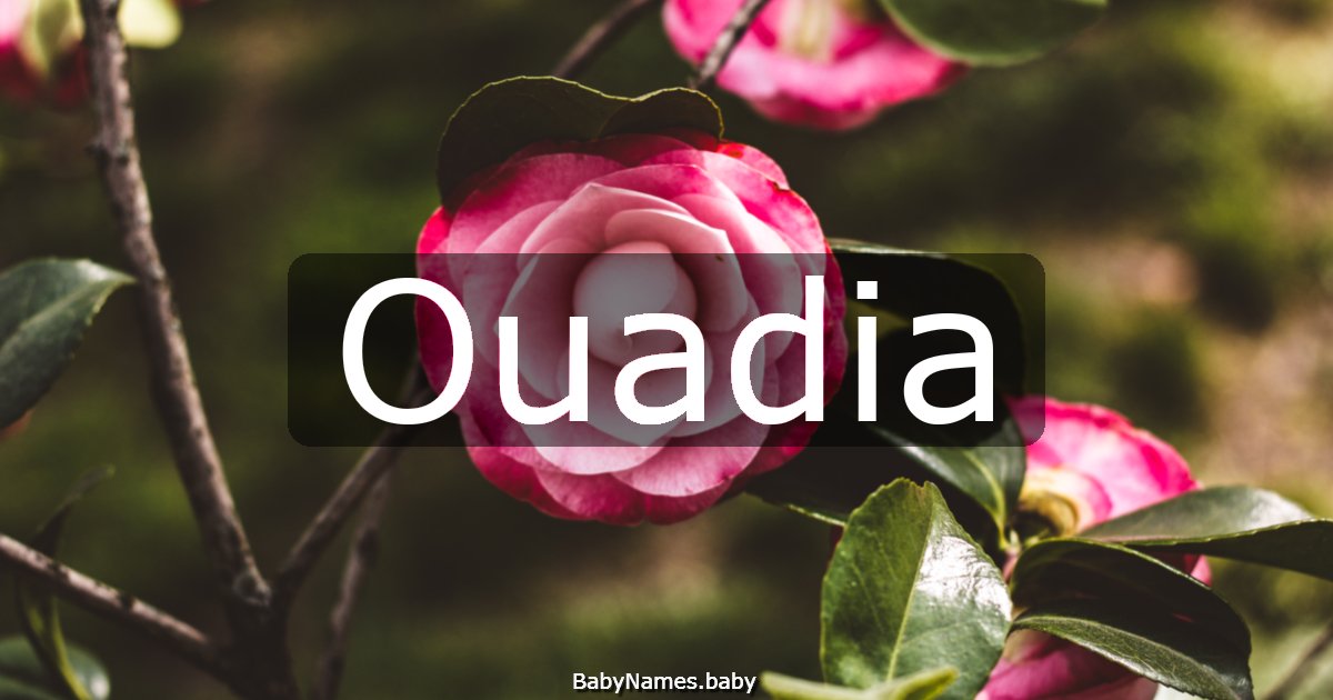 Ouadia