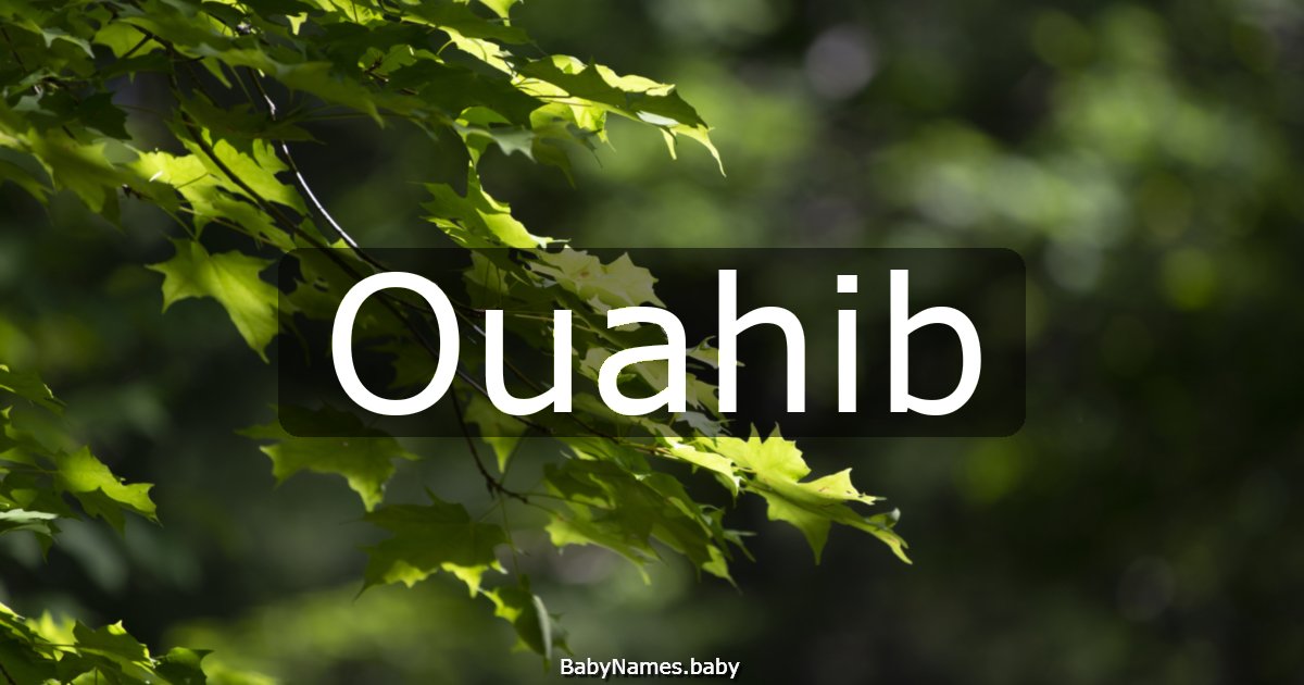 Ouahib