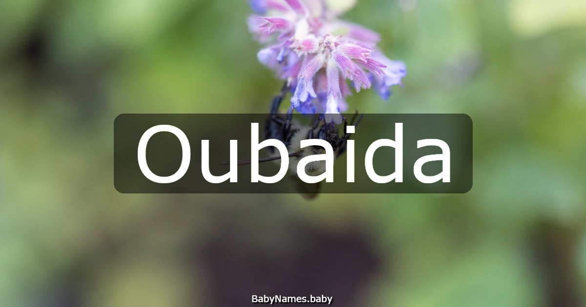 Oubaida