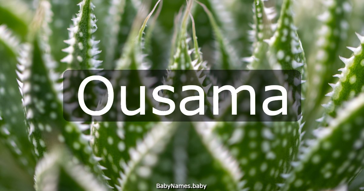 Ousama
