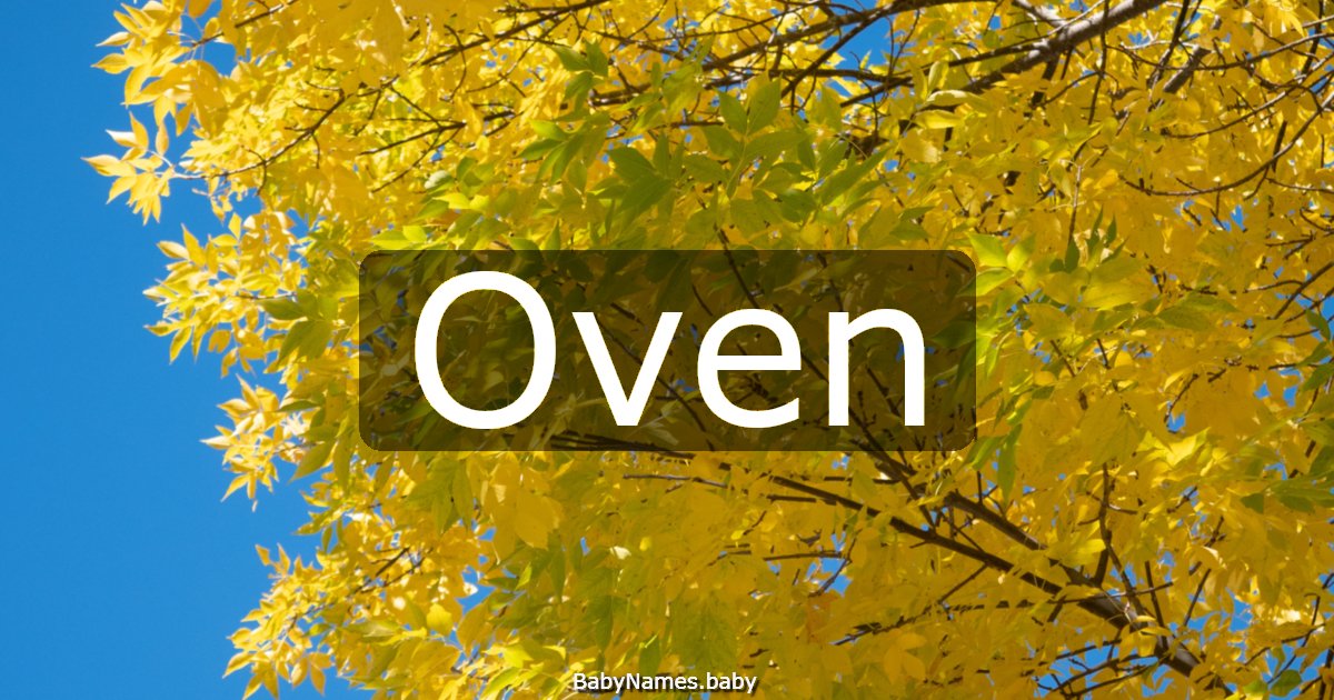 Oven