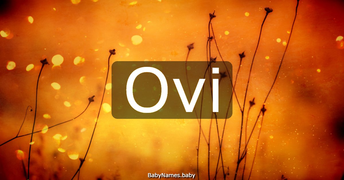Ovi