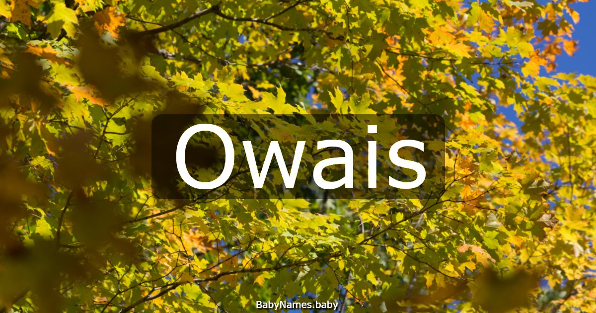 Owais