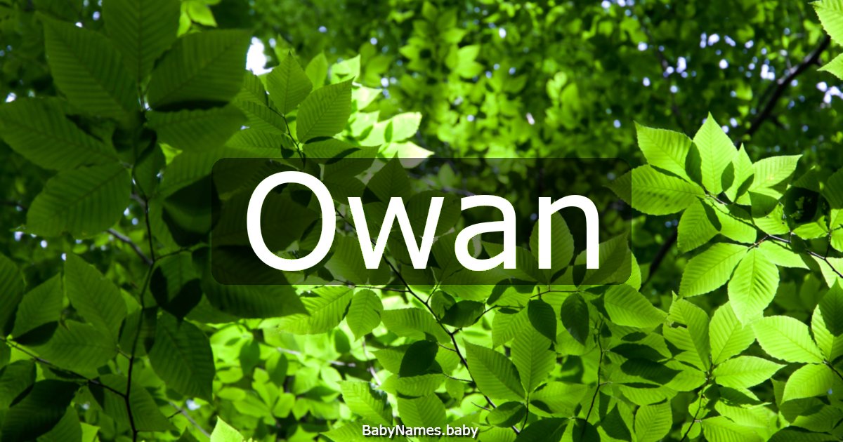 Owan