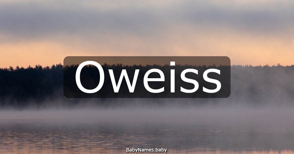 Oweiss