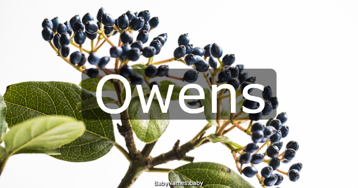 Owens
