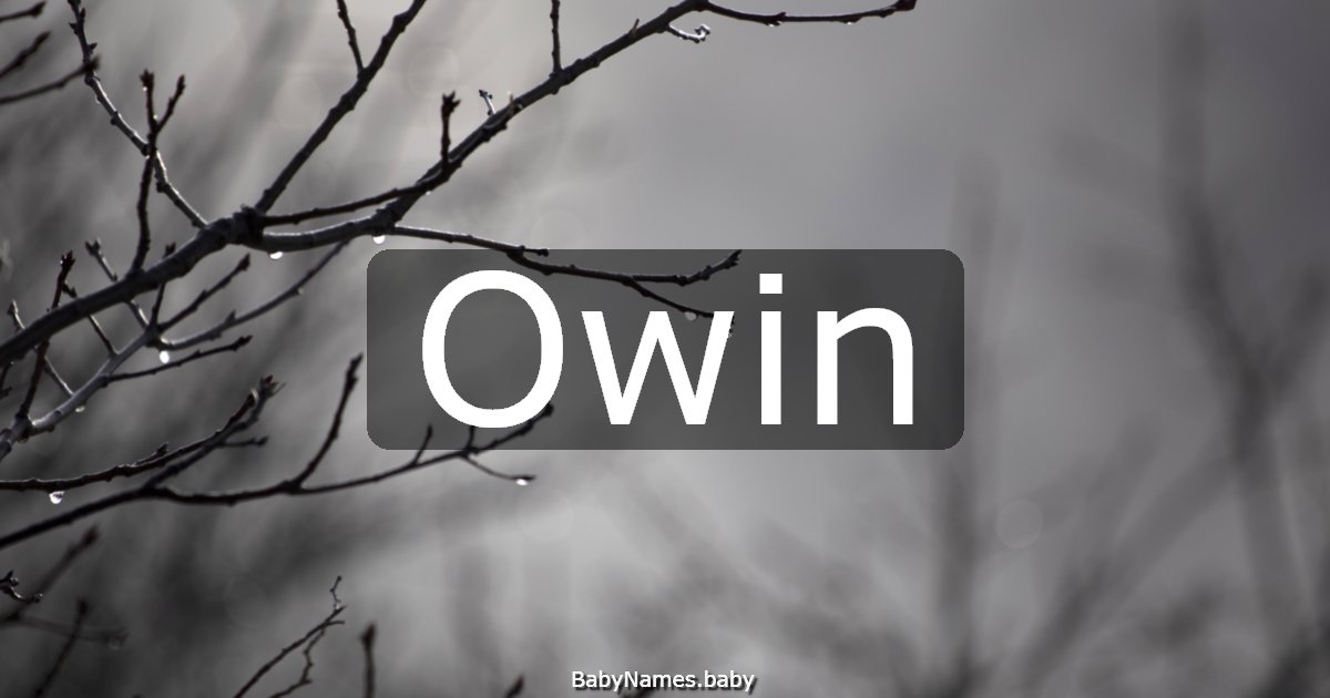 Owin