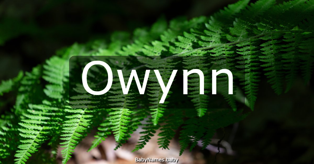 Owynn