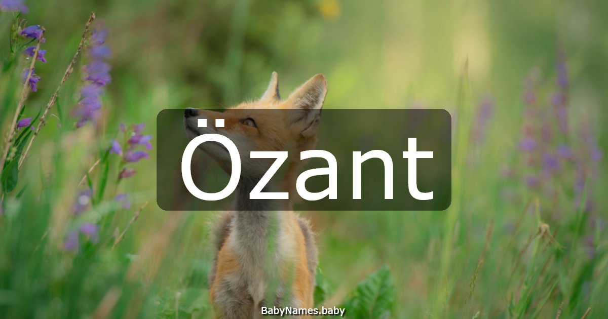 Özant