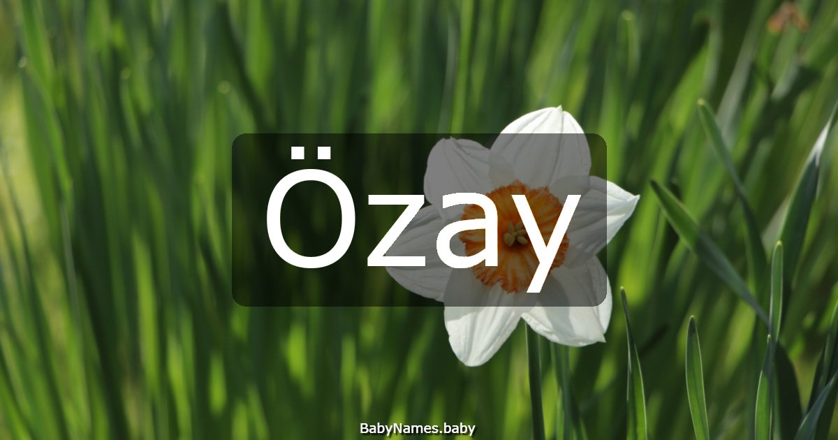 Özay
