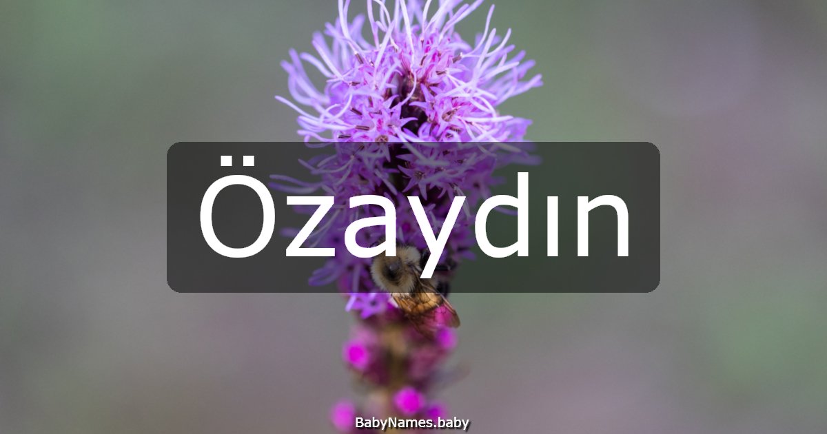 Özaydın