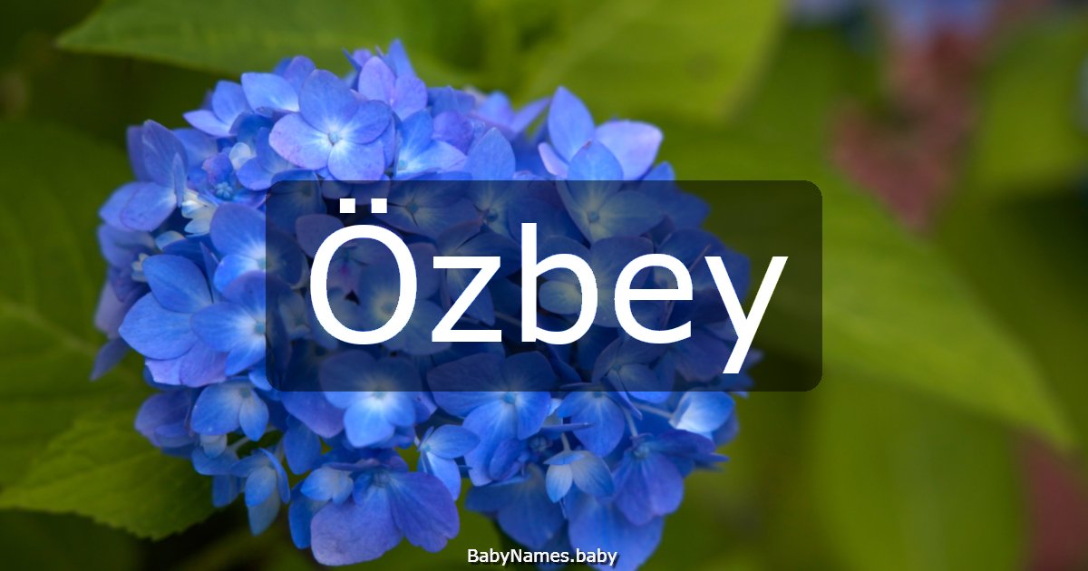 Özbey
