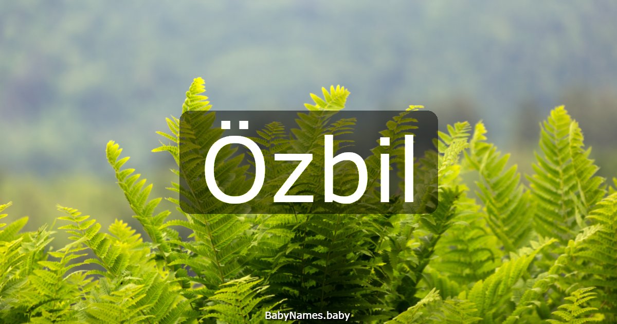 Özbil