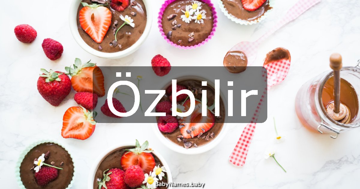 Özbilir