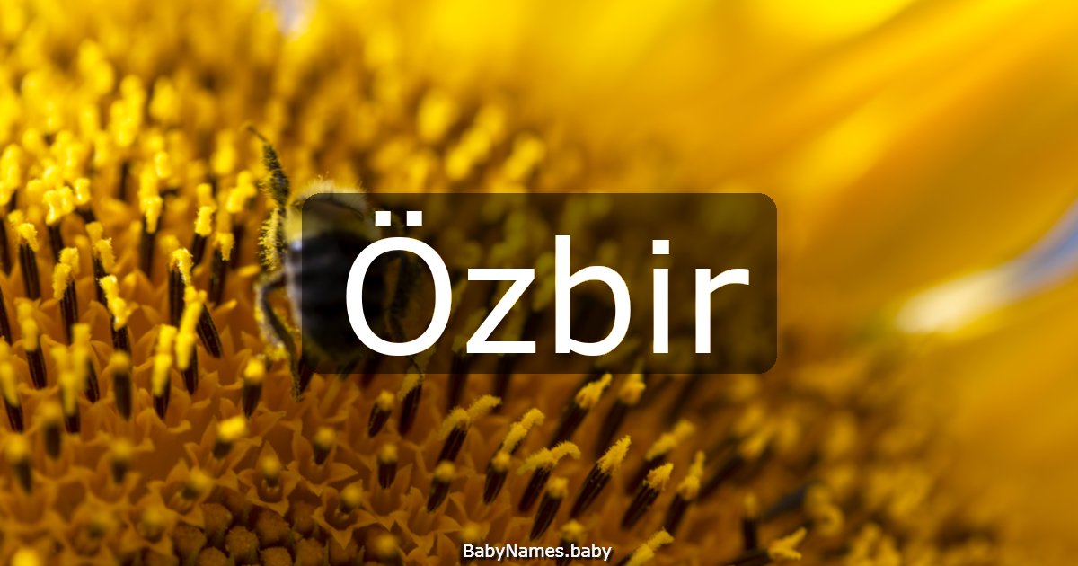 Özbir