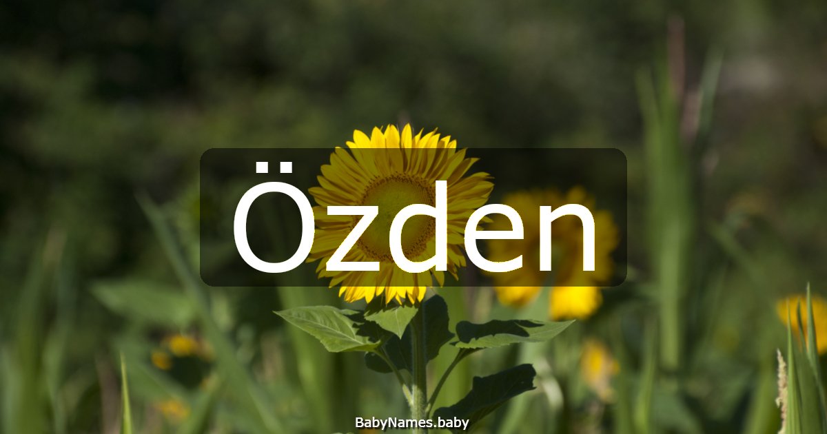 Özden