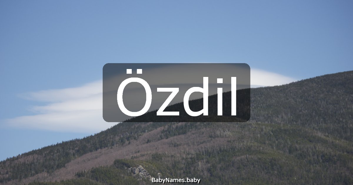 Özdil