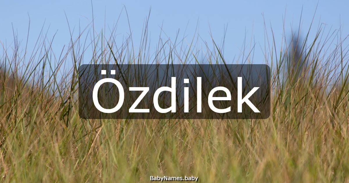 Özdilek