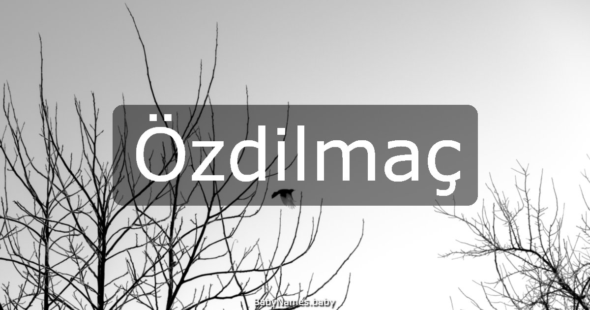 Özdilmaç