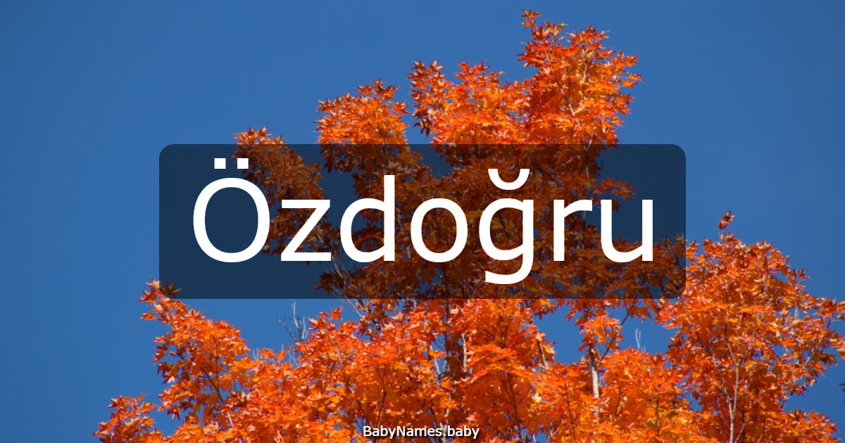 Özdoğru