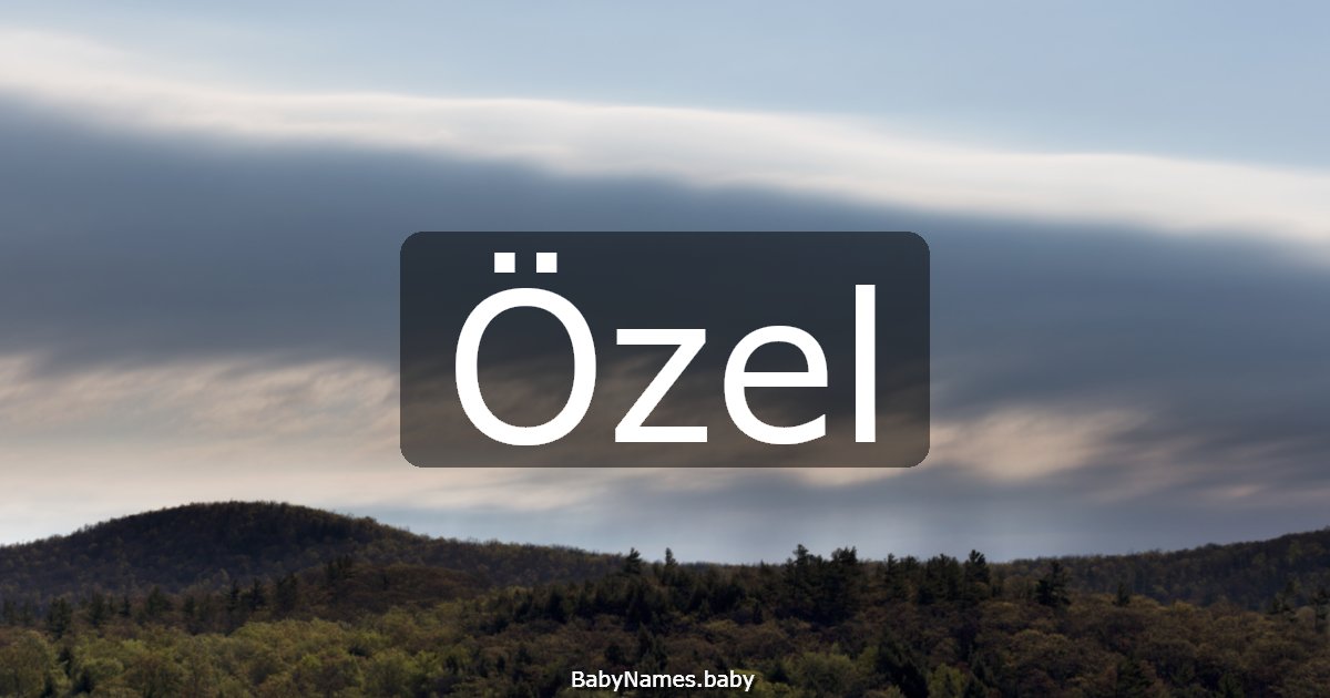 Özel