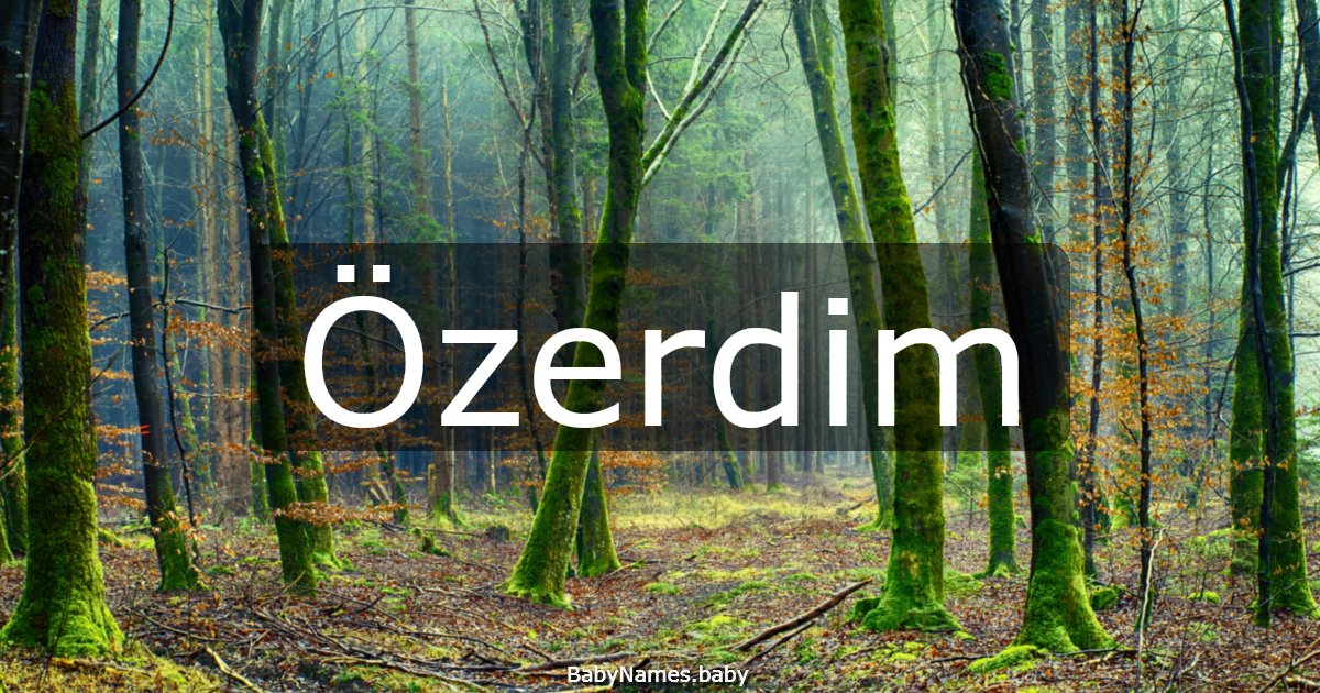 Özerdim