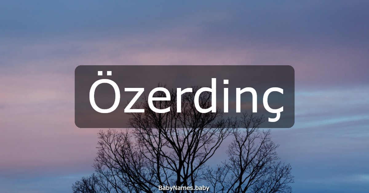 Özerdinç