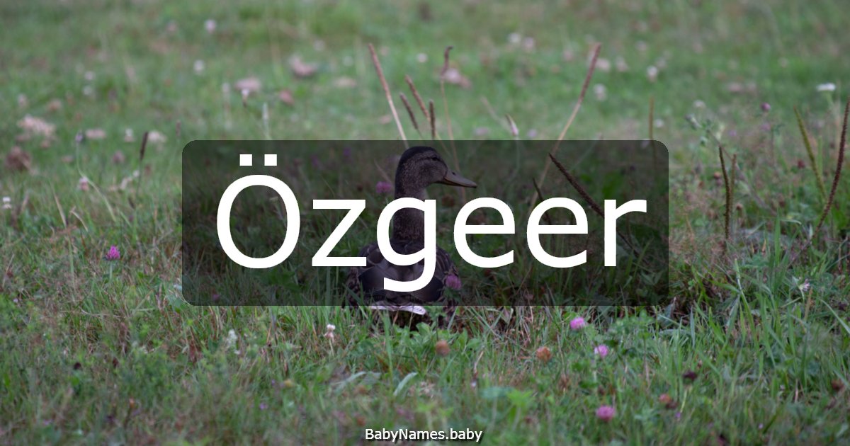 Özgeer