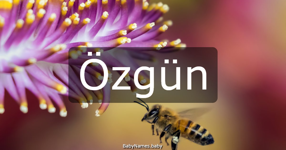 Özgün