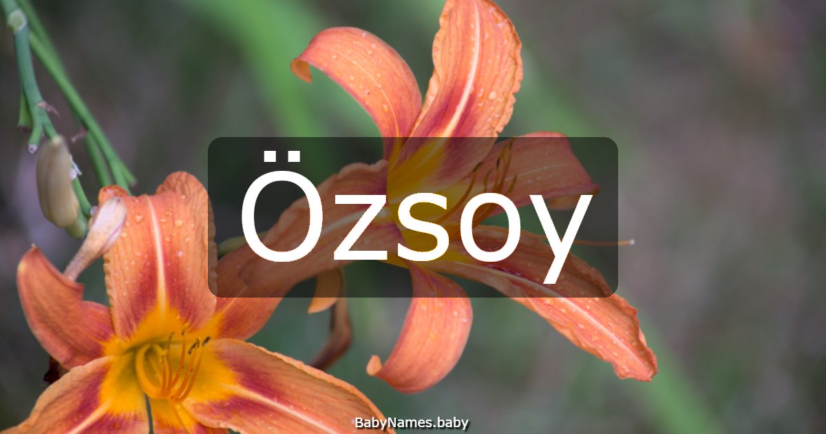 Özsoy