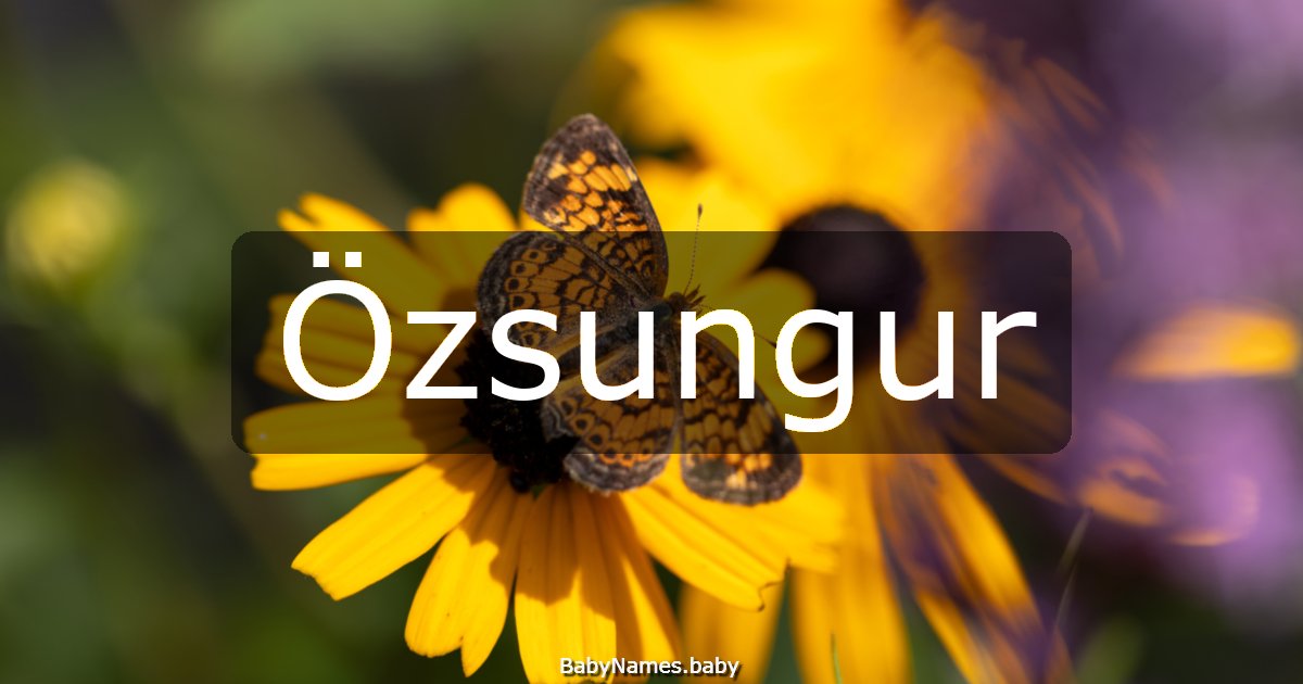 Özsungur