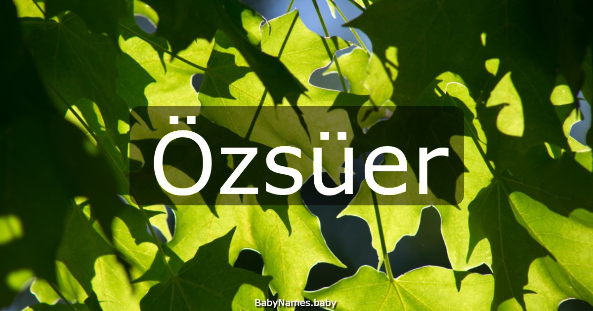 Özsüer