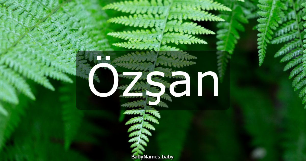 Özşan
