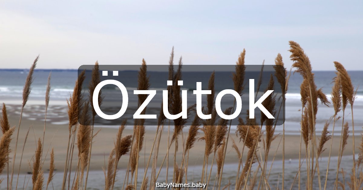 Özütok