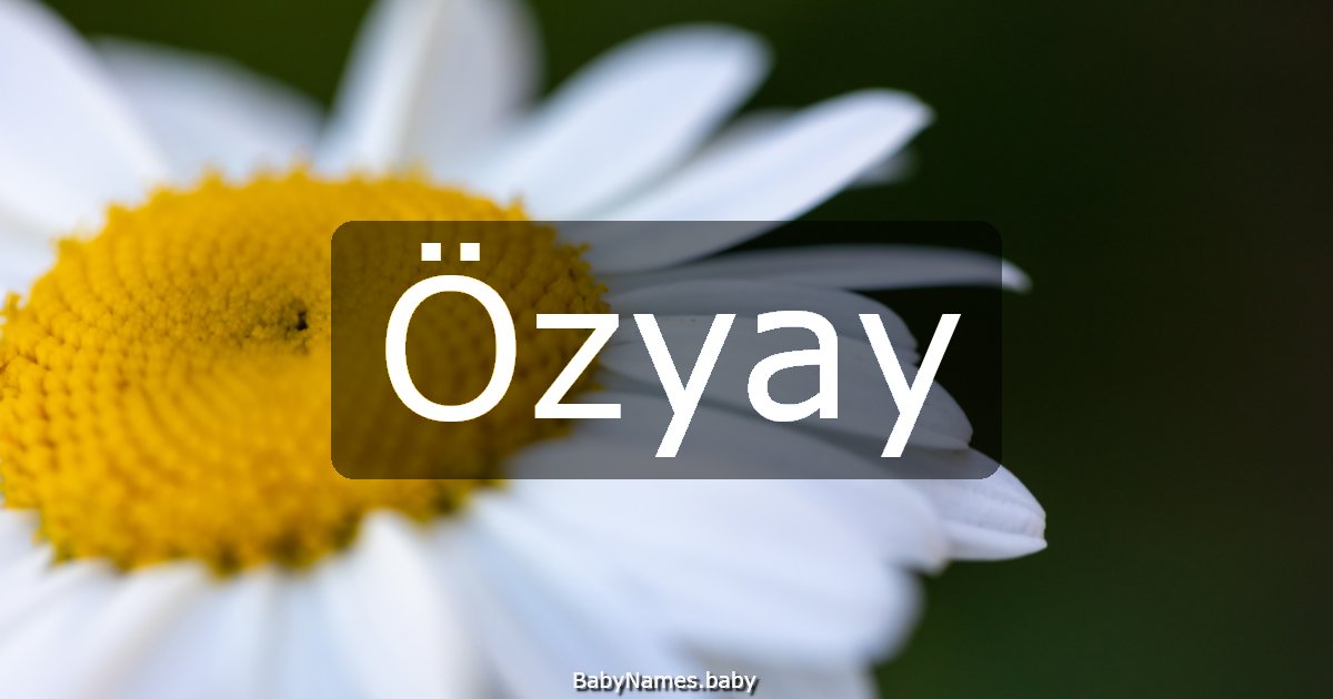 Özyay