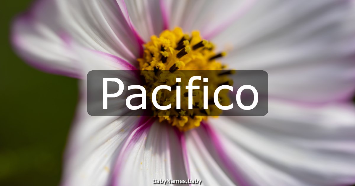 Pacifico